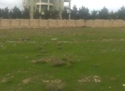 Satılır 10 sot torpaq Novxanı