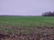 Satılır 140 sot torpaq Xaçmaz