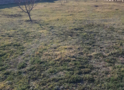 Satılır 11 otaqlı 600 m2 bağ evi Novxanı