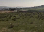 Satılır 50 sot torpaq Binəqədi