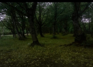 Satılır 300 sot torpaq İsmayıllı