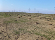 Satılır 1000 sot torpaq Hökməli