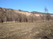 Satılır 15 sot torpaq Qusar