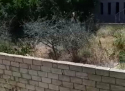 Satılır 8 sot torpaq Novxanı