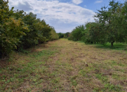 Satılır 16 sot torpaq Qəbələ