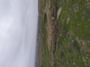 Satılır 400 sot torpaq Zirə