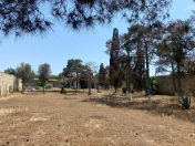 Satılır 57 sot torpaq Şüvəlan