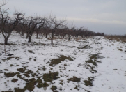 Satılır 90 sot torpaq Quba