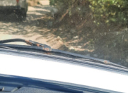 Satılır 50 sot torpaq Şabran