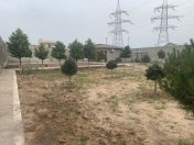 Satılır 12 sot torpaq Şüvəlan