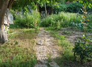 Satılır 7 sot torpaq Sulutəpə