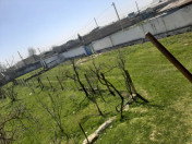 Satılır 9 otaqlı 200 m2 həyət evi Kürdəmir