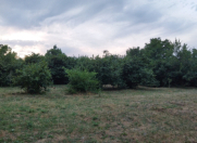 Satılır 16 sot torpaq Qəbələ