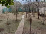 Satılır 5 otaqlı 200 m2 həyət evi Pullman Hotel