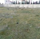 Satılır 8 sot torpaq Savalan