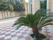 Satılır 5 otaqlı 275 m2 villa Buzovna