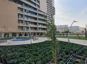 Satılır 2 otaqlı 106 m2 yeni tikili Yasamal r.