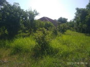 Satılır 20 sot torpaq Şabran