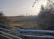 Satılır 2300 sot torpaq Ağdaş