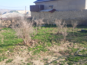 Satılır 3 sot torpaq Lökbatan