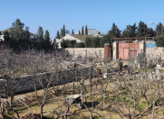Satılır 6 sot torpaq Şüvəlan