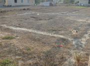 Satılır 11 sot torpaq Bərdə