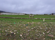 Satılır 24 sot torpaq Xızı