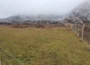 Satılır 12 sot torpaq İsmayıllı