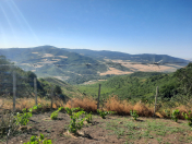 Satılır 8 sot torpaq İsmayıllı