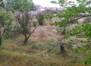 Satılır 12 sot torpaq Novxanı