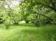 Satılır 61 sot torpaq Oğuz