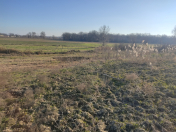 Satılır 20 sot torpaq Xudat