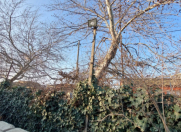 Satılır 3 sot torpaq Y.Suraxanı