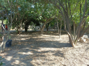 Satılır 3.6 sot torpaq Buzovna