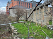 Satılır 5 sot torpaq Keşlə