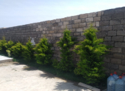 Satılır 3.8 sot torpaq Xaçmaz