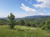 Satılır 2 otaqlı 75 m2 həyət evi Şamaxı