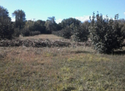 Satılır 65 sot torpaq Zaqatala