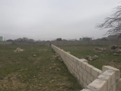 Satılır 6 sot torpaq Albalı