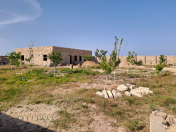 Satılır 5 otaqlı 200 m2 həyət evi Qala