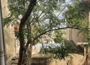 Satılır 2 otaqlı 55 m2 köhnə tikili Bayıl