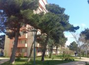 Satılır 2 otaqlı 38 m2 köhnə tikili Həzi Aslanov
