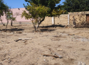 Satılır 4 sot torpaq Görədil