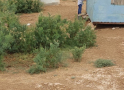 Satılır 300 sot torpaq Xızı