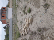 Satılır 2.25 sot torpaq Mingəçevir