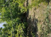 Satılır 10 sot torpaq Saray