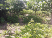 Satılır 12 sot torpaq İsmayıllı