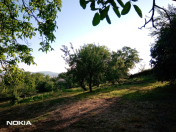 Satılır 56 sot torpaq İsmayıllı