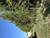 Satılır 5 otaqlı 800 m2 həyət evi Y.Ramana