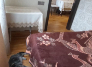 Satılır 2 otaqlı 38 m2 yeni tikili Sumqayıt